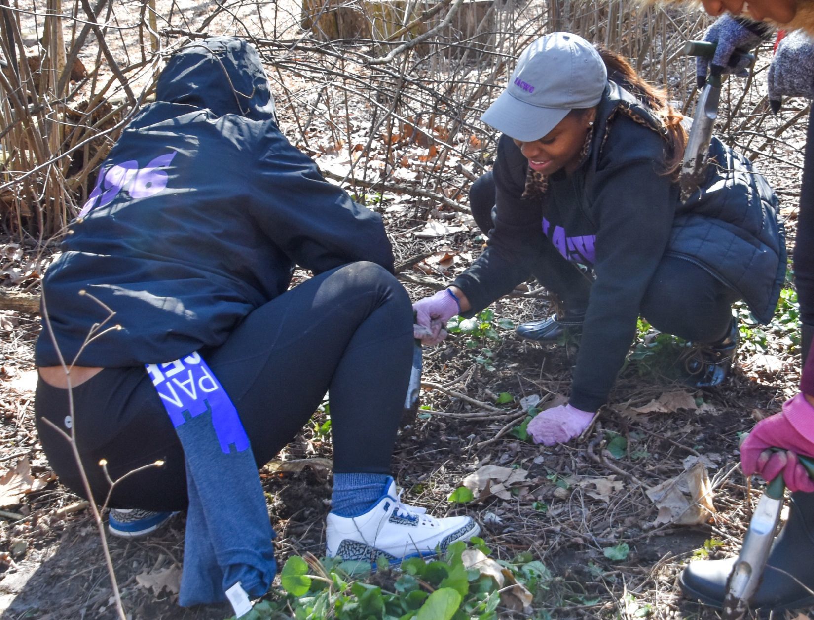 Douglas-Hart invasives